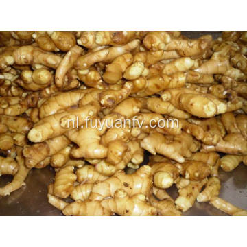 Fresh Ginger to Kiwait market